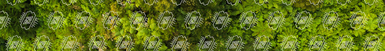 Tree Hero Image